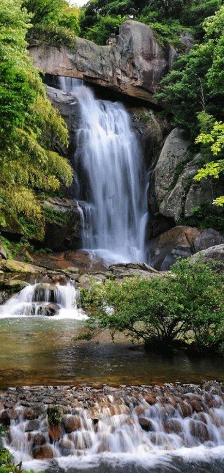 深圳大学粤港澳大湾区新兴产业发展研究院院长龚晓峰：“深圳经济指标含金量很高”